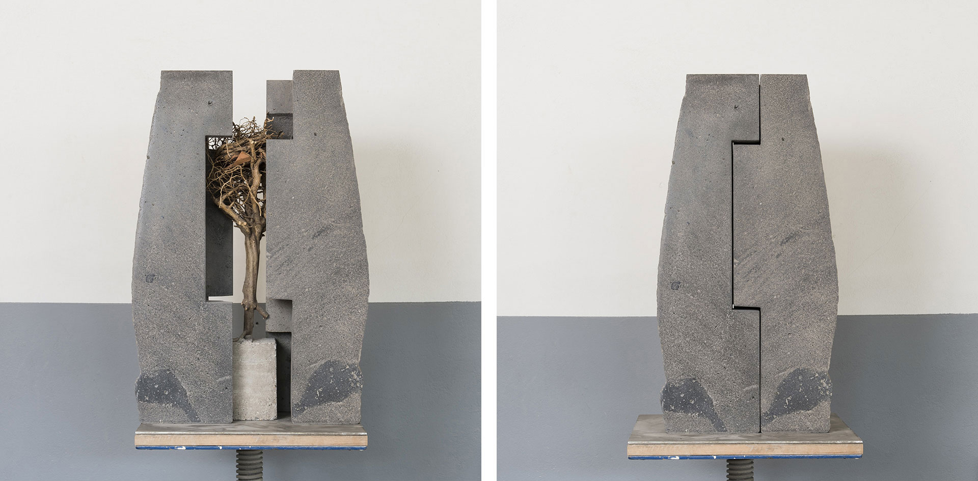 Peer Steppe Vielleicht ein Kopf