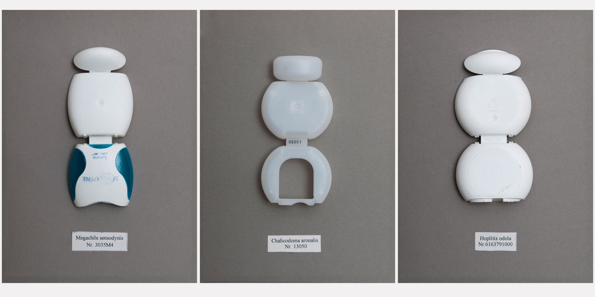 Peer Steppe Readymades